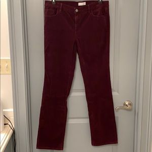 Loft modern straight corduroy plum color 31/12